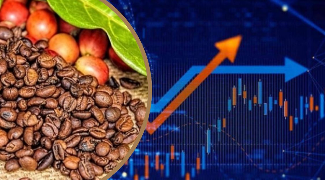 Dòng tiền tiếp tục ổn định trên thị trường cà phê