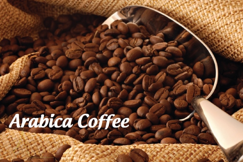 Giá cà phê Arabica đã cao nhất 10 năm và vẫn có thể tăng tiếp do nguồn cung cạn kiệt