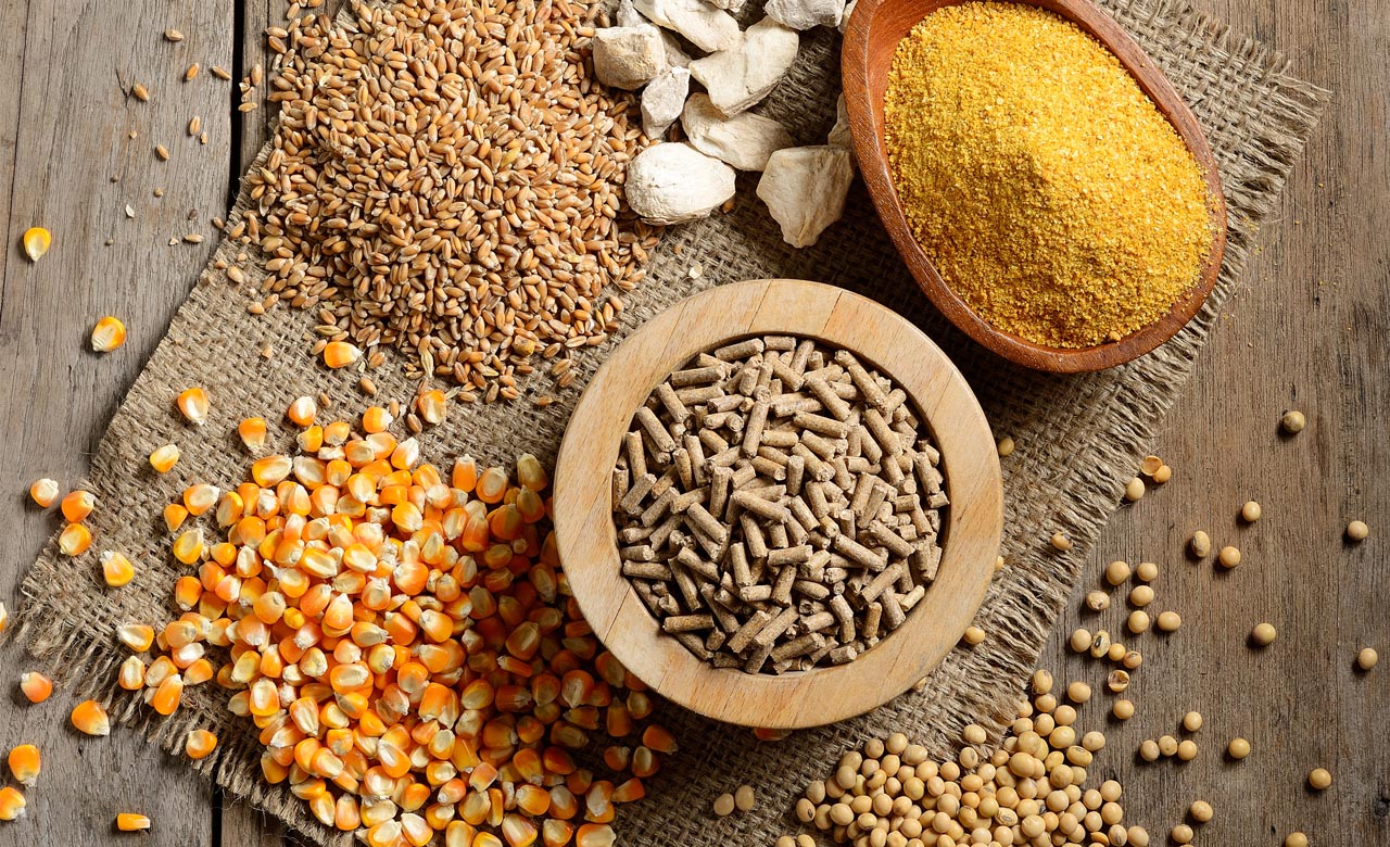 Khô đậu tương và lúa mì tăng mạnh đến 6%