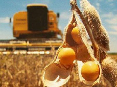 Tình trạng khô hạn nghiêm trọng tại khu vực Nam Mỹ đe doạ đến nguồn cung ngô và đậu tương