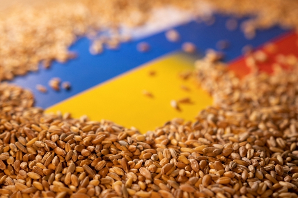 Xuất khẩu ngũ cốc qua Biển Đen có thể thực sự nối lại?