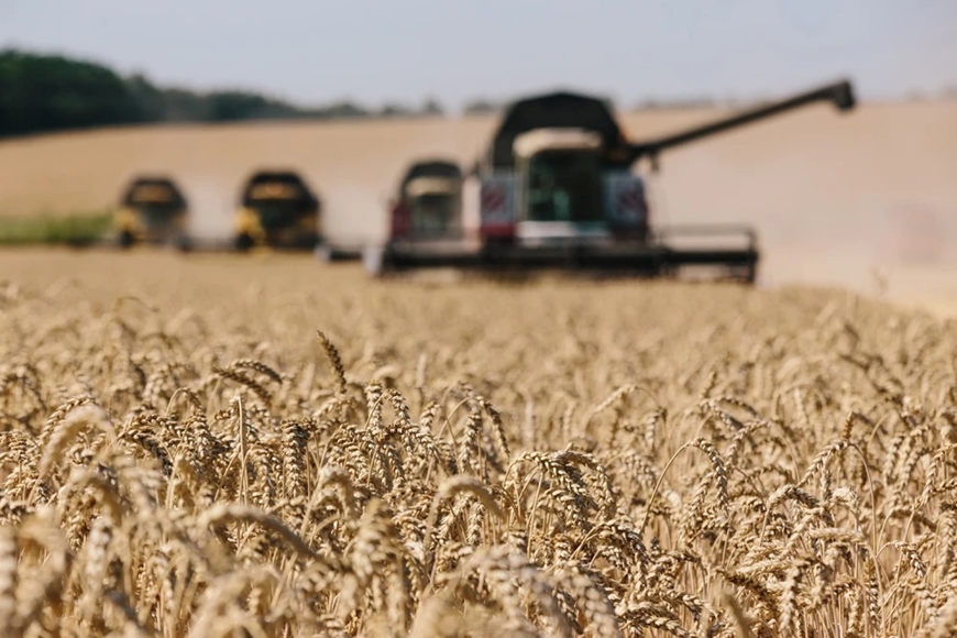 Căng thẳng leo thang tại Ukraine một lần nữa khiến giá lúa mì bật tăng mạnh