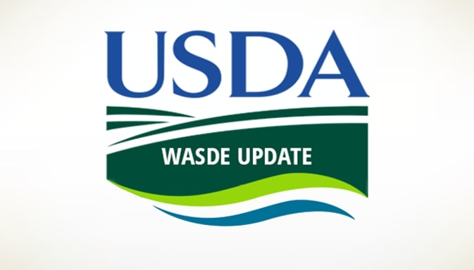 Báo cáo WASDE có ảnh hưởng thế nào đến giá hàng hóa nông sản?