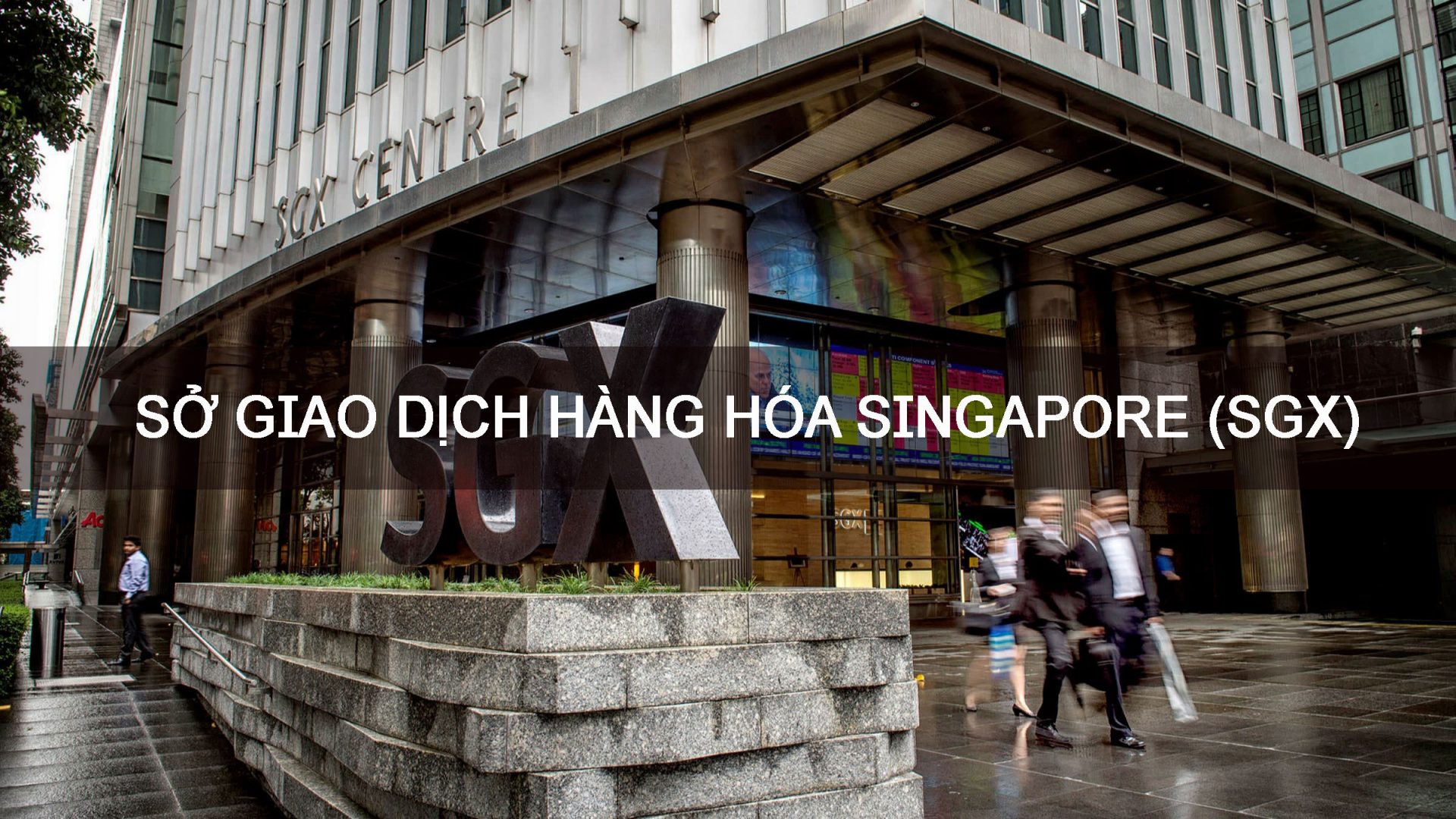 Sở giao dịch hàng hóa Singapore (SGX)