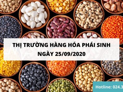 Thị trường hàng hóa 25/09/2020