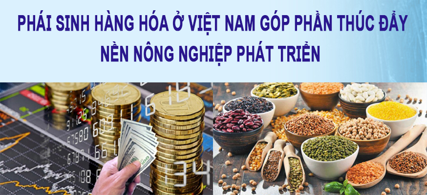 Phái sinh hàng hóa ở Việt Nam