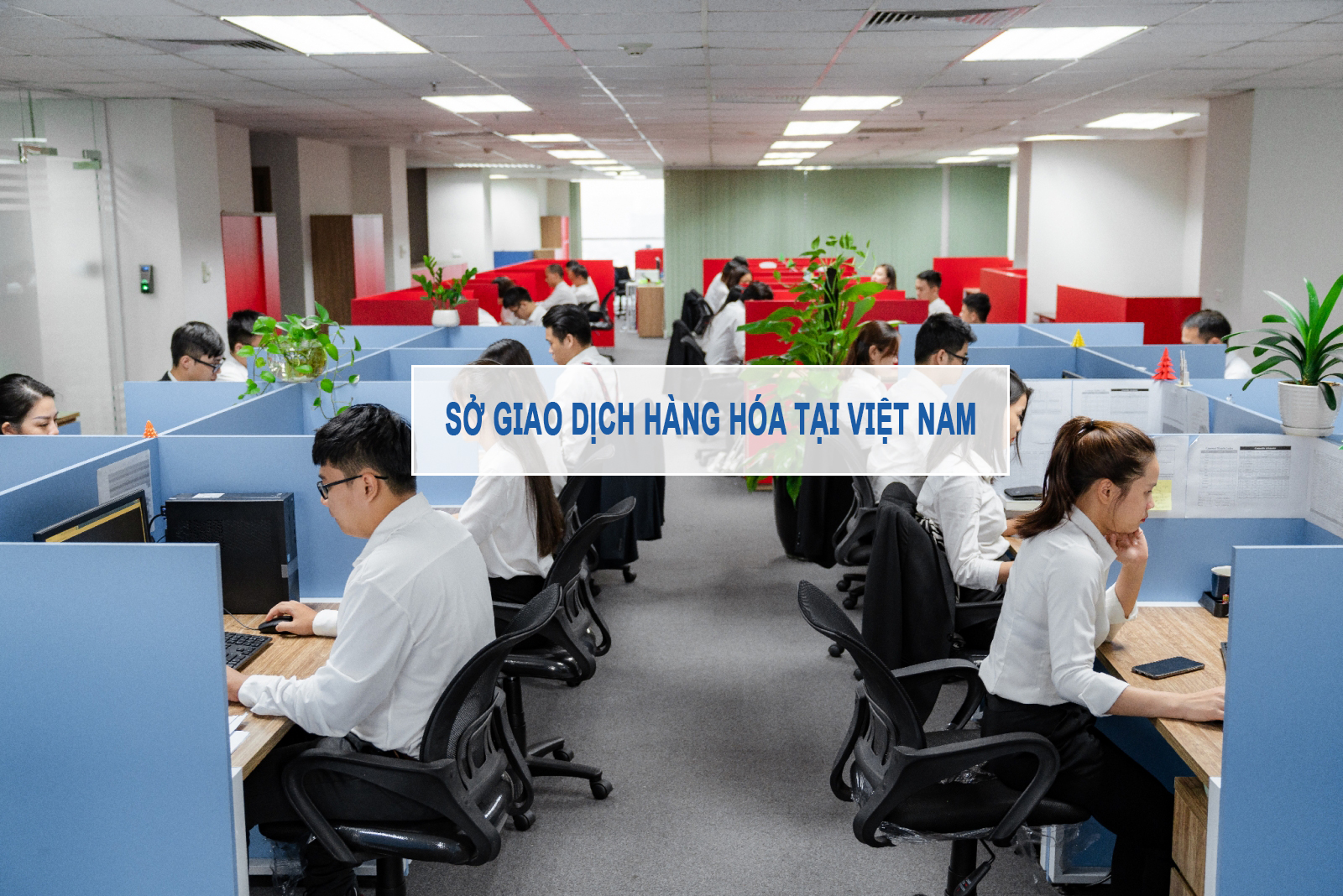 Sở giao dịch hàng hóa tại Việt Nam
