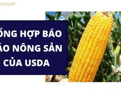 Báo cáo USDA