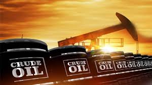 chính sách sản lượng dầu 2021