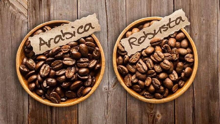 Sản lượng và nhu cầu đối với cà phê Robusta có xu hướng cao hơn Arabica