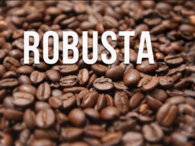 Giá cà phê Robusta lập kỷ lục mới