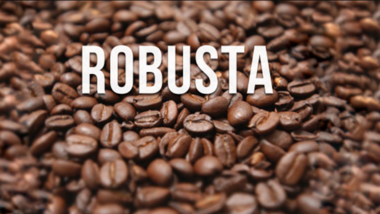 Giá cà phê Robusta lập kỷ lục mới