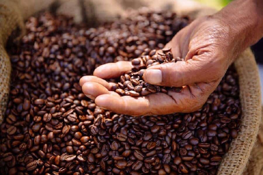 Triển vọng nguồn cung cà phê thắt chặt trong dài hạn khiến giá chưa thể hạ nhiệt sớm