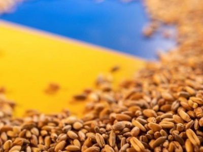 Thị trường ngũ cốc tăng mạnh sau tin tức Nga ngừng tham gia thỏa thuận xuất khẩu ngũ cốc