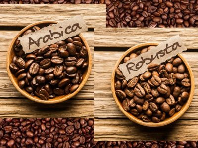 Đà giảm của giá cà phê Arabica kéo dài đến khi nào