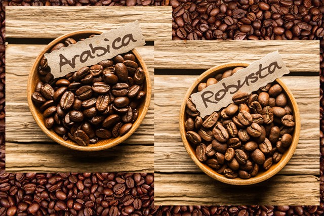 Đà giảm của giá cà phê Arabica kéo dài đến khi nào