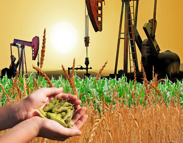 Mỹ chính thức điều chỉnh nghĩa vụ pha trộn nhiên liệu sinh học, giá dầu thô và nông sản biến động bất ngờ