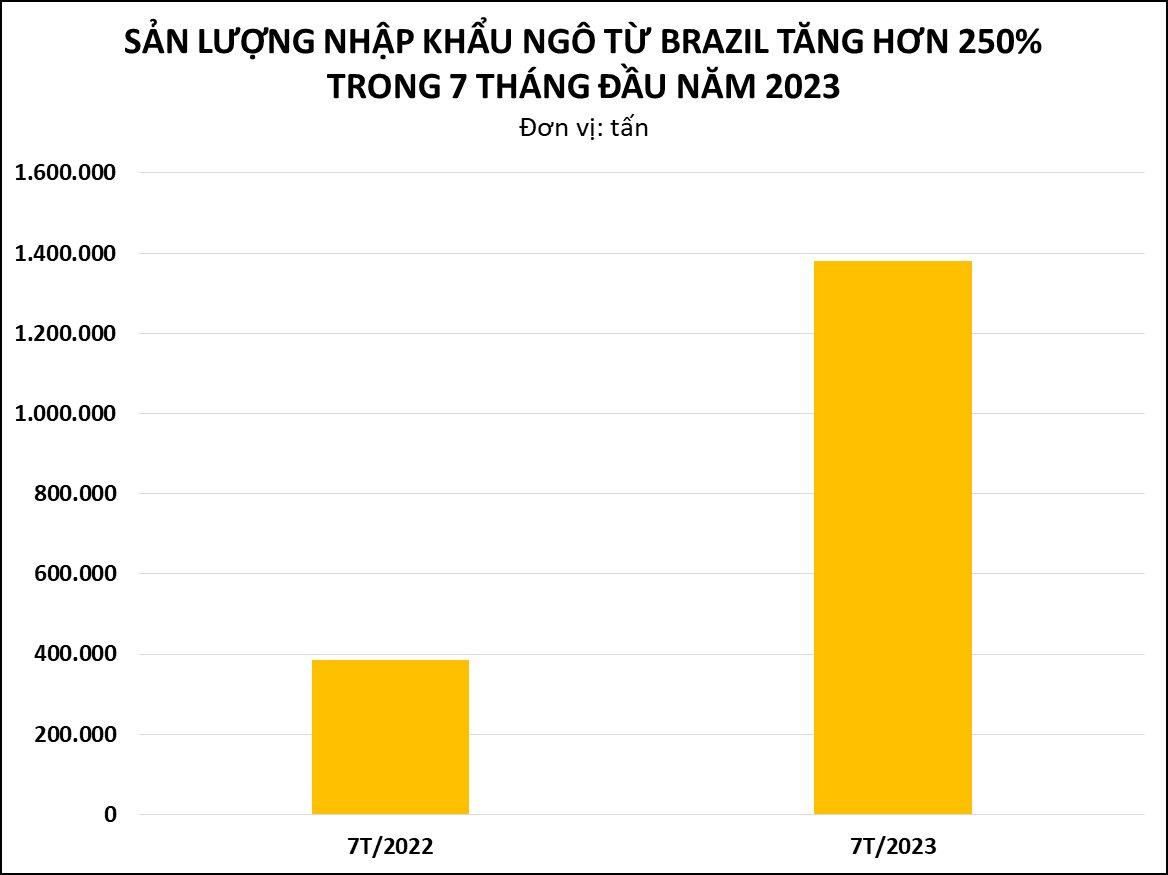 Sản lượng nhập khẩu ngô Brazil của Việt Nam trong 7 tháng đầu năm 2023