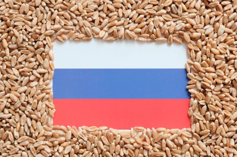 Tại sao giá lúa mì thế giới lại bị tác động nhiều từ thị trường lúa mì Nga?