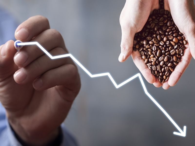Phân tích cà phê 08/01/2024: Giá Arabica có thể tiếp tục phải chịu sức ép khi nguồn cung cải thiện