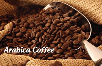 Phân tích Cà phê ngày 25/03: Giá cà phê Arabica vẫn còn động lượng giảm