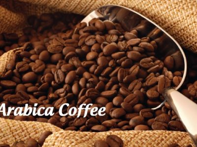 Phân tích Cà phê ngày 25/03: Giá cà phê Arabica vẫn còn động lượng giảm