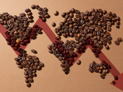 Giá cà phê quay đầu giảm trước áp lực nguồn cung cải thiện