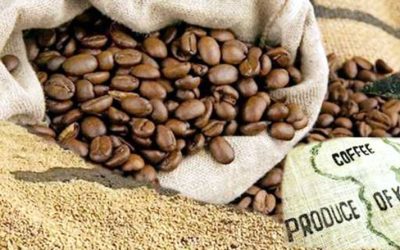 Phân tích Cà phê 29/04: Giá Arabica sẽ chuyển sang giai đoạn giằng co trước khi tiếp tục xu hướng mới