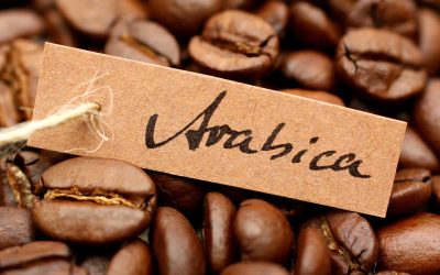 Phân tích Cà phê ngày 15/07: Giá Arabica sẽ giằng co vùng 240 - 250 trong tuần này