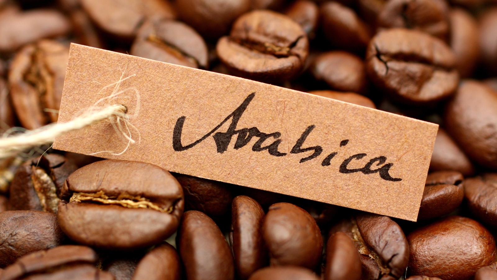 Phân tích Cà phê ngày 15/07: Giá Arabica sẽ giằng co vùng 240 - 250 trong tuần này
