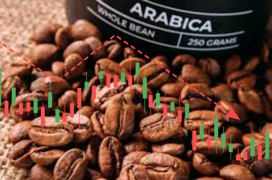 Phân tích Cà phê ngày 09/09: Giá Arabica đang đứng trước ngưỡng quan trọng