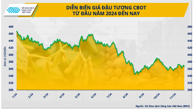 Diễn biến giá đậu tương CBOT từ đầu năm đến nay