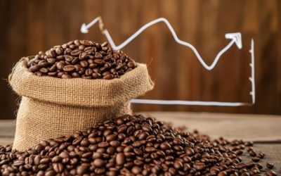 Giá cà phê Arabica có thể điều chỉnh và giằng co sau nhịp tăng mạnh của tuần trước