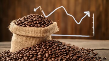 Giá cà phê Arabica có thể điều chỉnh và giằng co sau nhịp tăng mạnh của tuần trước