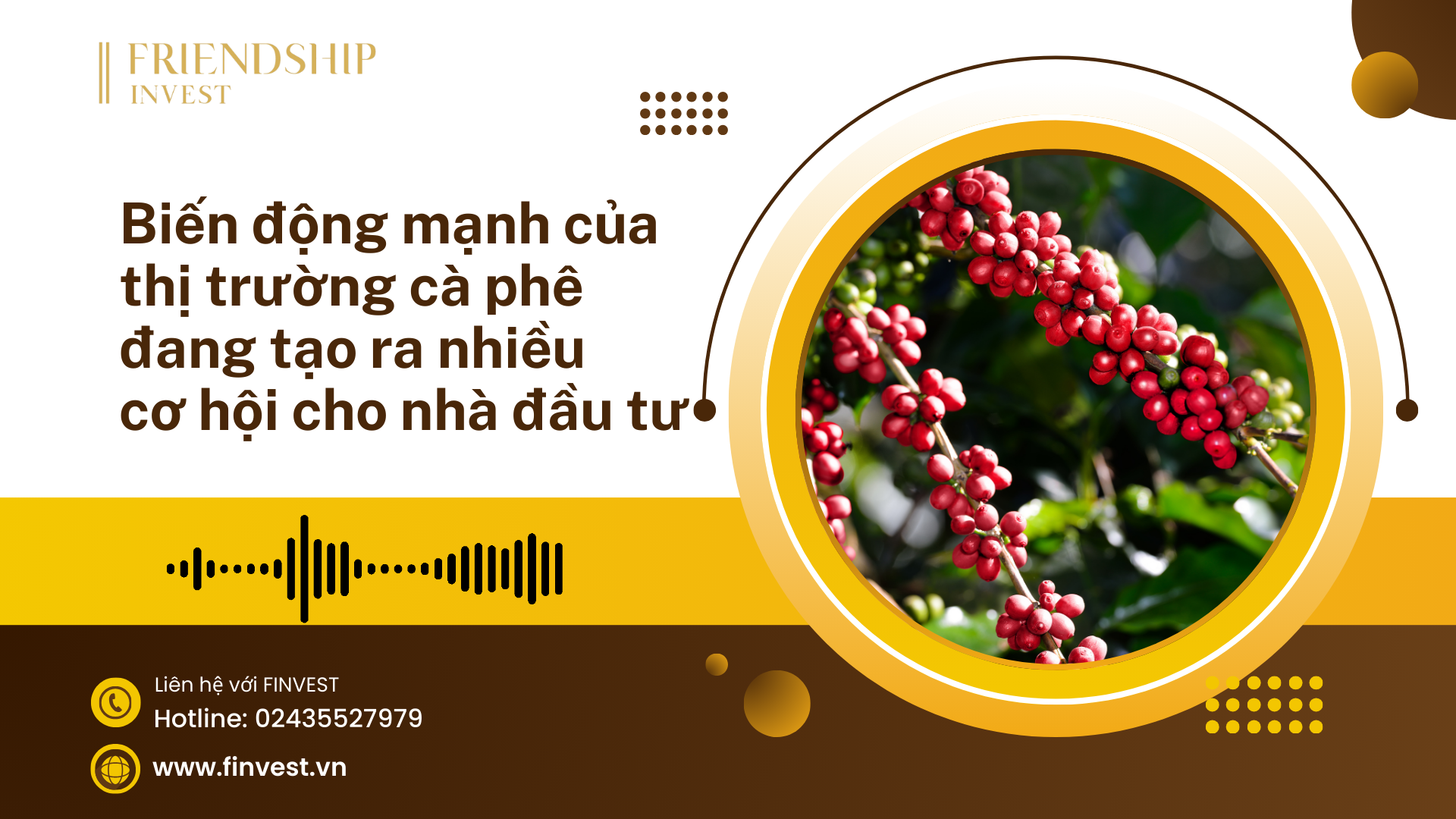 Cơ hội cho các nhà đầu tư khi giá cà phê trong nước và thế giới đều biến động mạnh