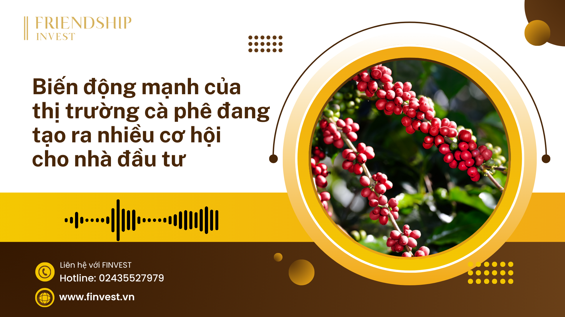 Giá cà phê trong nước và thế giới đều biến động mạnh