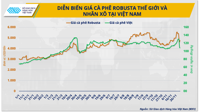 Diễn biến giá cà phê Robusta thế giới và Việt Nam