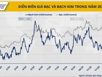 Diễn biến giá bạc và bạch kim trong năm 2024