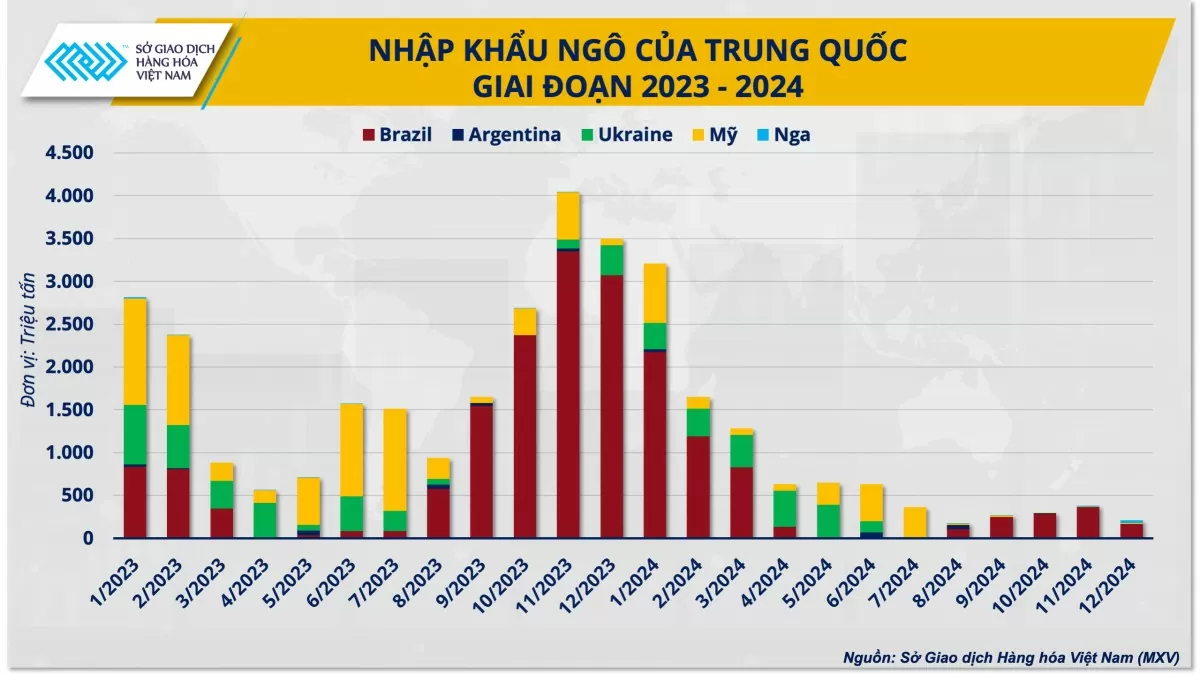 Nhập khẩu ngô của Trung Quốc giai đoạn 2023 - 2024