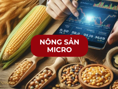 Bùng nổ cơ hội đầu tư với Hợp đồng Micro Nông sản – Đòn bẩy lớn từ khoản vốn nhỏ