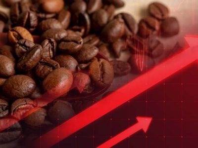 Phân tích Cà phê ngày 15/07: Giá Arabica đang ở vùng nhạy cảm