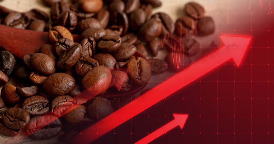 Phân tích Cà phê ngày 15/07: Giá Arabica đang ở vùng nhạy cảm