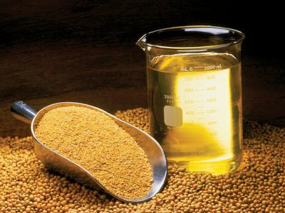 Phân tích Đậu tương ngày 11/08: Giá đậu tương CBOT được hỗ trợ bởi kỳ vọng nhập khẩu từ Trung Quốc sẽ tăng gấp 4 lần