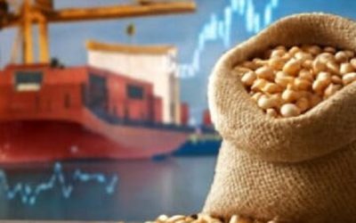 Giá đậu tương tiến gần kháng cự, thị trường chờ đợi dữ liệu Export Sales