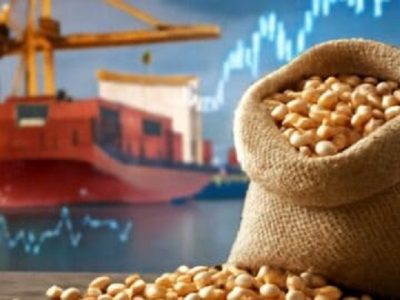 Giá đậu tương tiến gần kháng cự, thị trường chờ đợi dữ liệu Export Sales