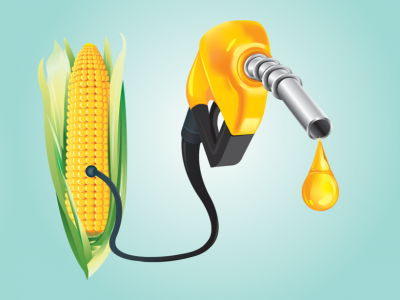 Việt Nam chuyển đổi sử dụng xăng E10, tăng nhập khẩu Ethanol và ngô từ Mỹ. Cơ hội nào dành cho các nhà đầu tư?