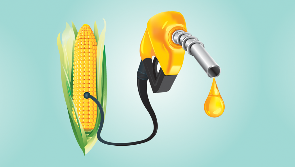 Việt Nam chuyển đổi sử dụng xăng E10, tăng nhập khẩu Ethanol và ngô từ Mỹ. Cơ hội nào dành cho các nhà đầu tư?