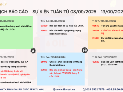 Quý rồi a xuất nhiều mà đầu vào thiếu nhiều quá