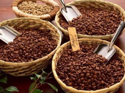 Phân tích Cà phê ngày 3/10: Giá Arabica đang giằng co trong kênh
