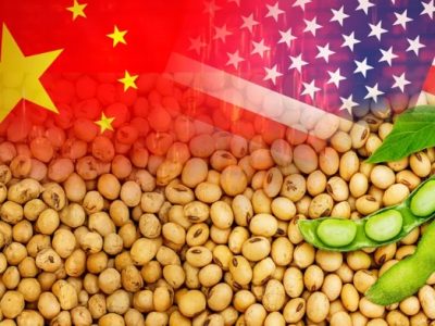 Phân tích Đậu tương 31/10/2025: Thị trường đậu tương được hỗ trợ khi nhu cầu đối với đậu tương Mỹ khởi sắc